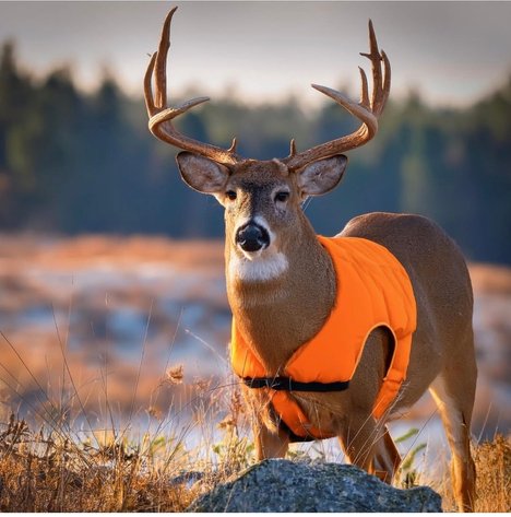 Image for Sportsman’s Auction