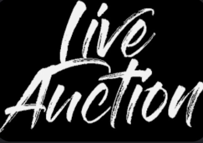 Image for LIVE AUCTION DECEMBER 8TH @ 1PM