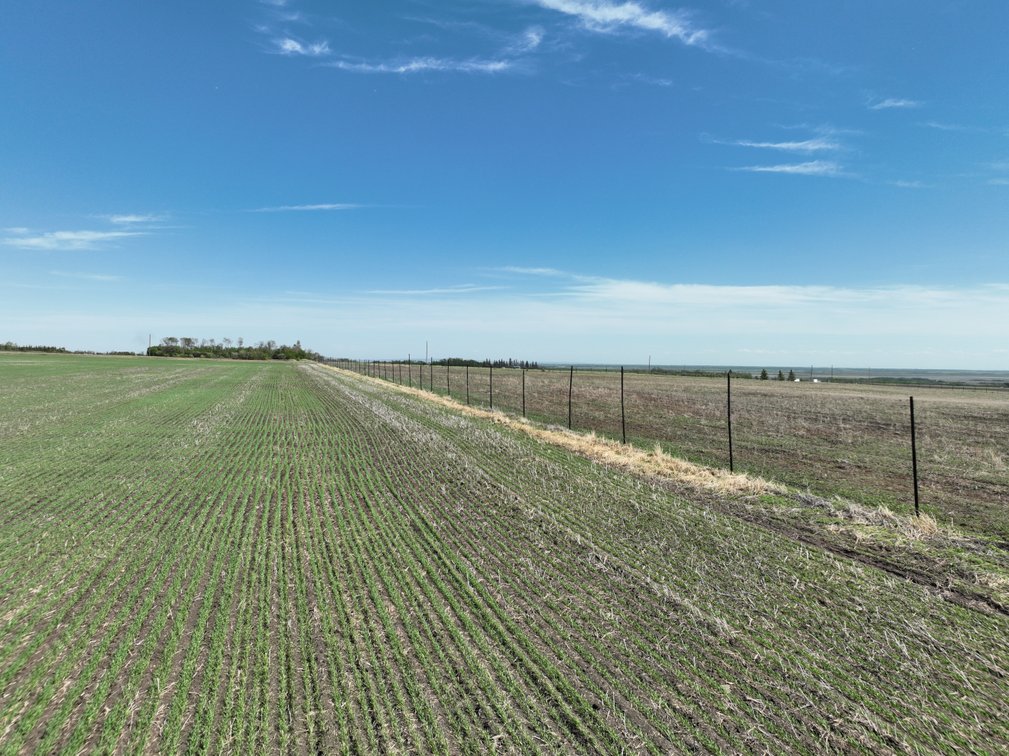 Image for SEXSMITH NE-1-74-5-W6