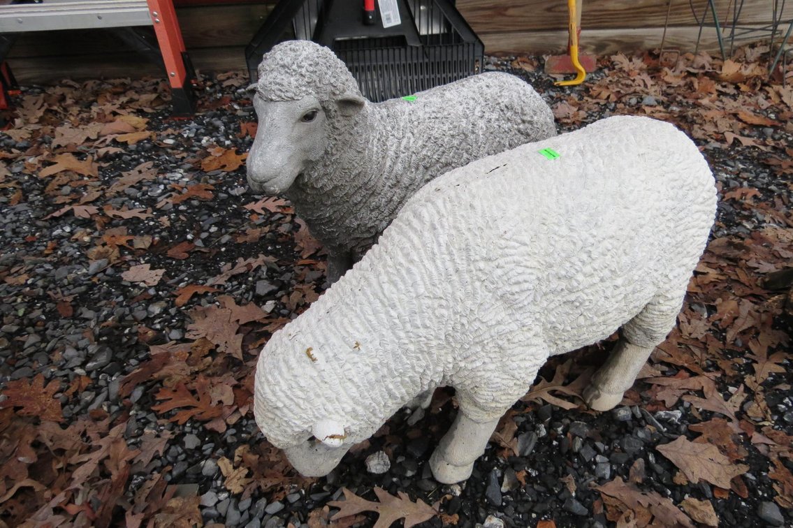 Image for Cold Springs Gallery #2054