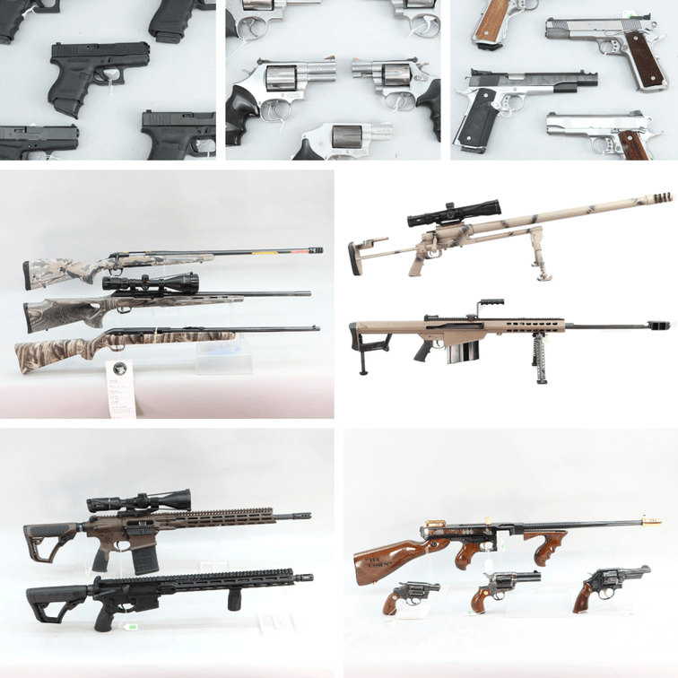 Image for Firearms - March 2024