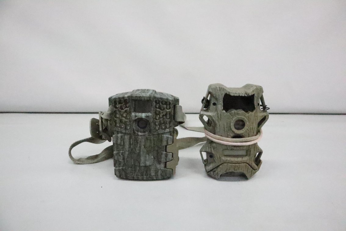 Image for Cold Springs Gallery #2038