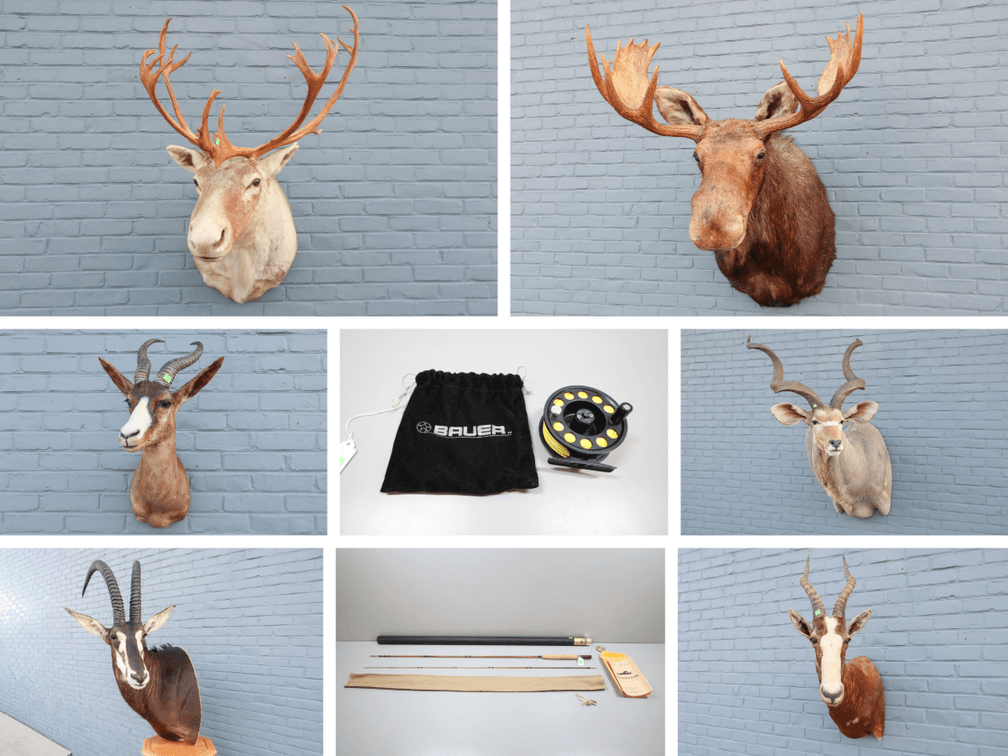 Image for Fly Fishing and Taxidermy Auction