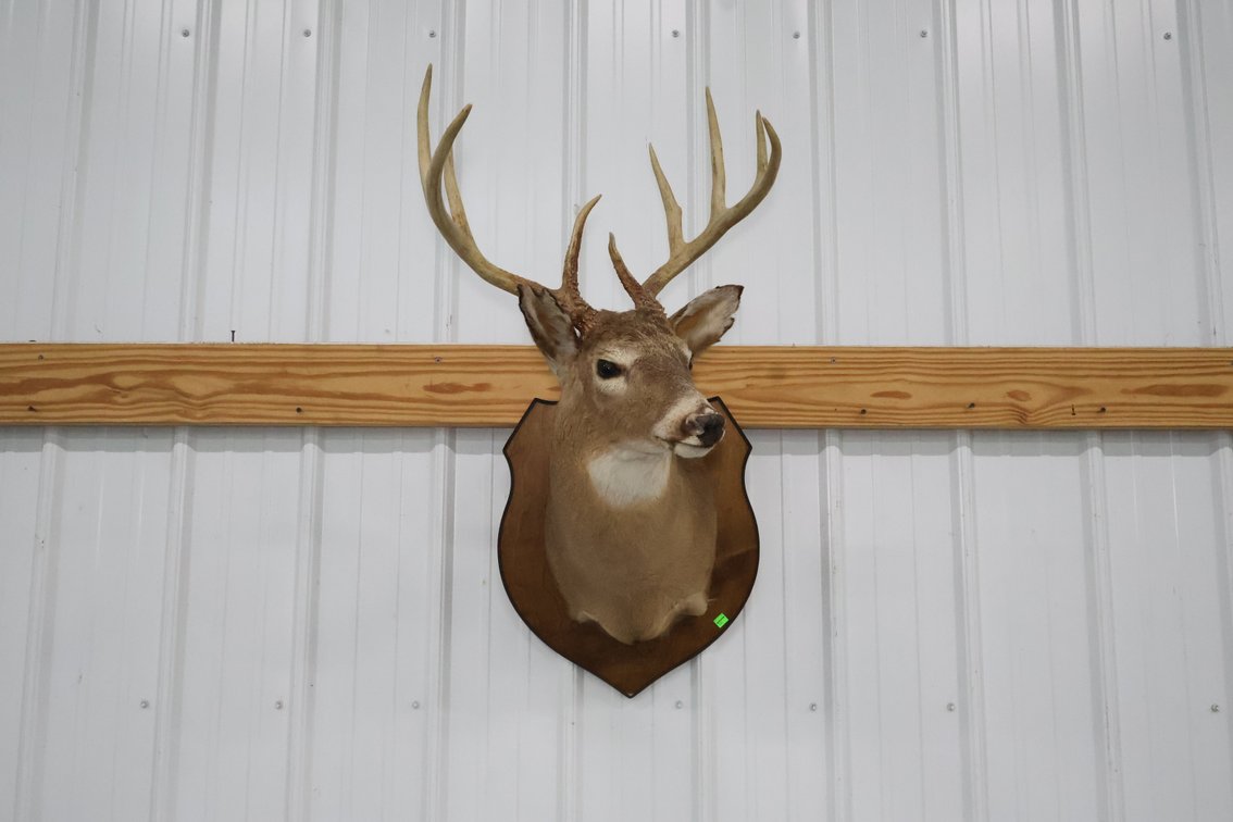 Image for Cold Springs Gallery #4184