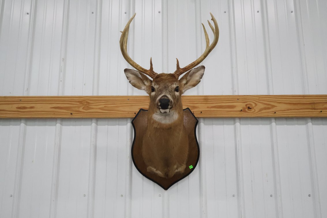 Image for Cold Springs Gallery #4184