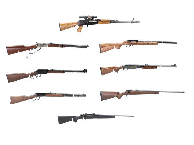 Image for Firearms Auction - August 2026