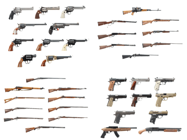 Image for Firearms Auction - August 2026