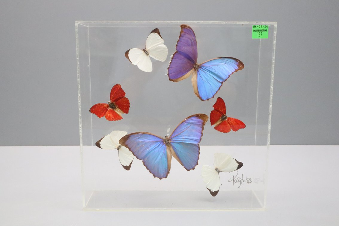 Image for Cold Springs Gallery #4175