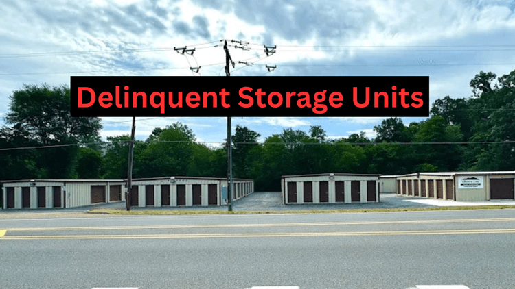 Image for Delinquent Storage Unit Auction