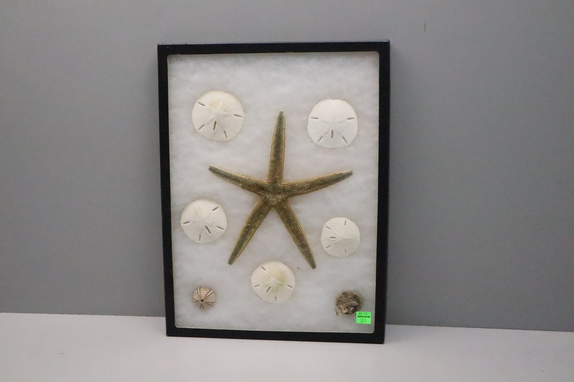 Image for Cold Springs Gallery #4190