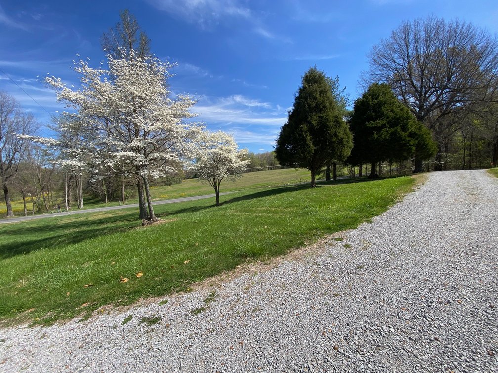 Image for ABSOLUTE ESTATE AUCTION • 9400 Childress Road, West Paducah, KY