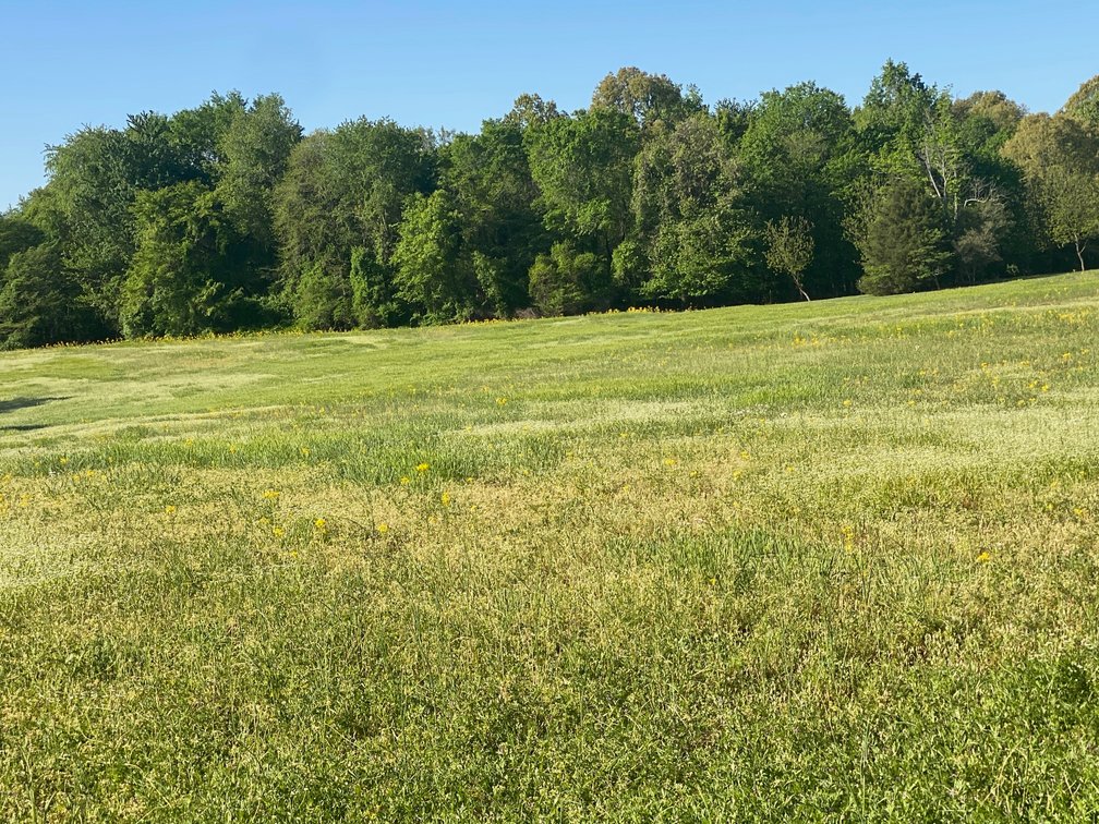 Image for ABSOLUTE ESTATE AUCTION • 9400 Childress Road, West Paducah, KY