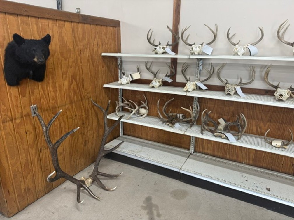 Image for Minnesota DNR Part 1