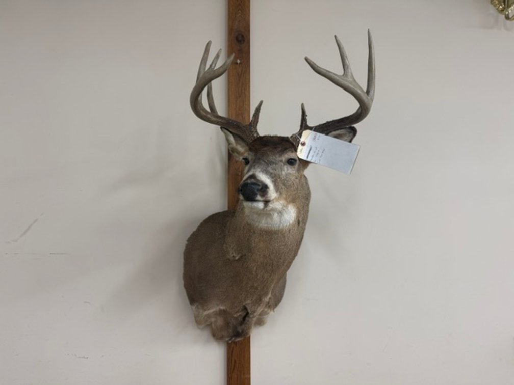 Image for Minnesota DNR Part 1