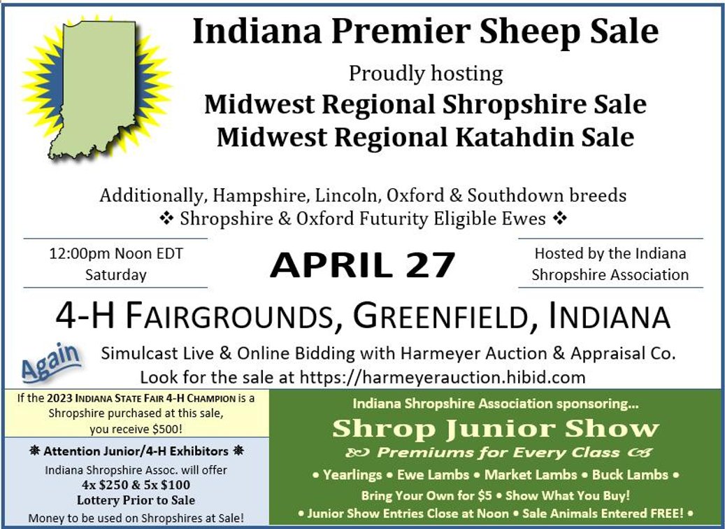 Image for 2024 Indiana Premier Sheep Sale Webcast Bidding