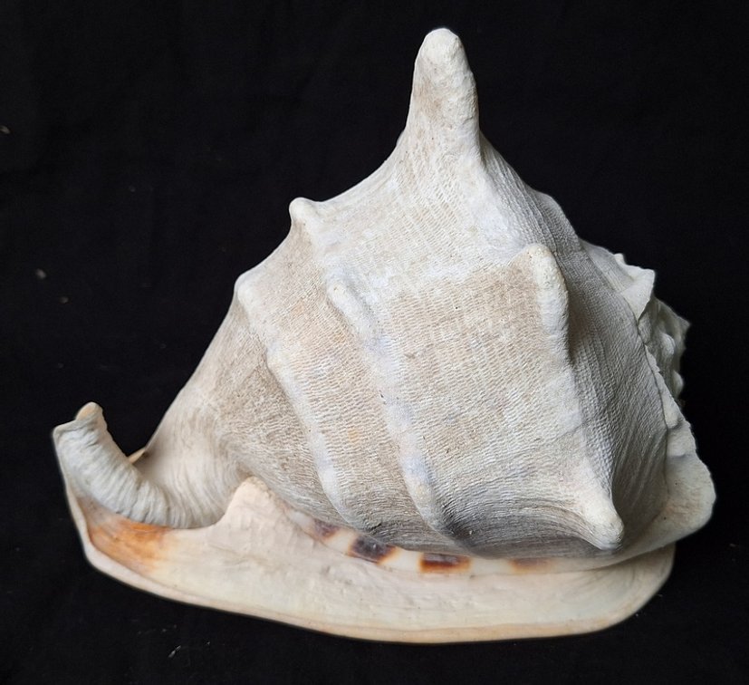 Image for Roy Butler Estate Online Auction # 3