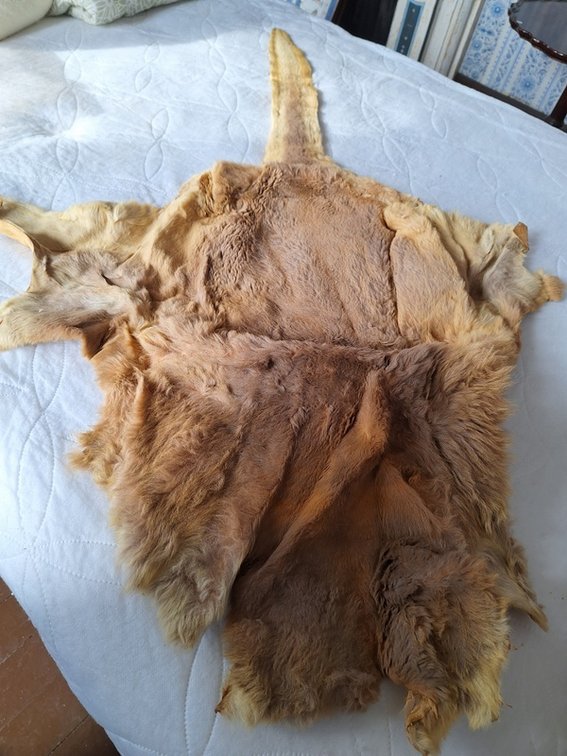 Image for Roy Butler Estate Online Auction # 3