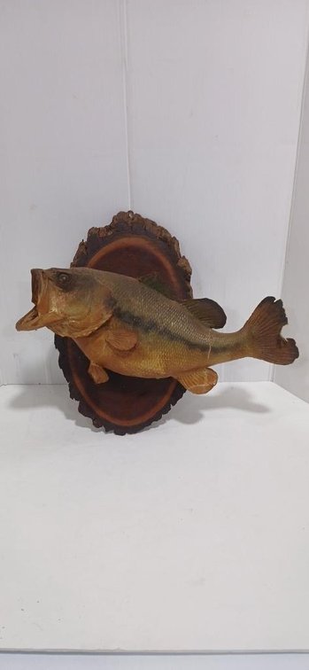 Image for 2025 Fall Outdoor Sportsman Auction