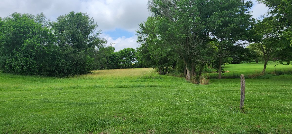 Image for Melvin Kollander Estate Online Real Estate Auction