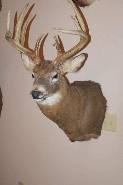 Image for Henry County Estate Personal Property Online Auction