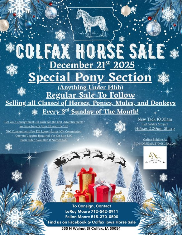 Image for Colfax Horse Sale *Christmas Special* - SUNDAY, DECEMBER 21ST - Colfax, Iowa