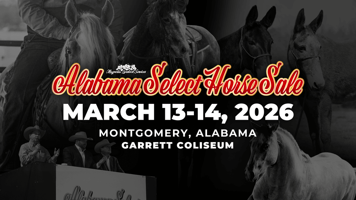 Image for Alabama Select Horse Sale - SATURDAY, MARCH 14TH - Montgomery, AL