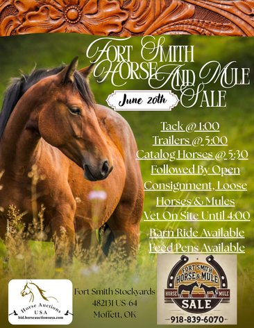 Image for Fort Smith Horse & Mule Sale - SATURDAY, JUNE 20TH - Moffett, Oklahoma