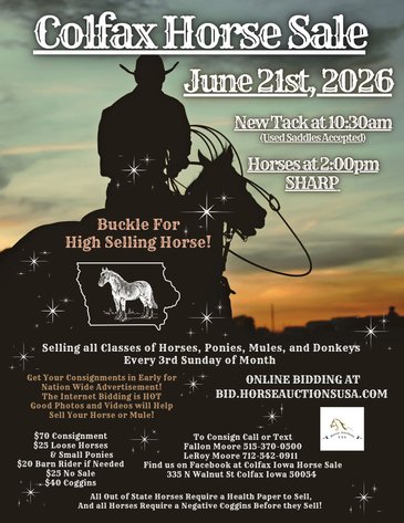 Image for Colfax Horse Sale  - SUNDAY, JUNE 21ST - Colfax, Iowa