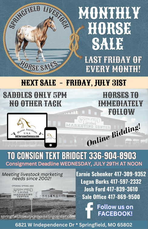 Image for Springfield Livestock Horse Sale FRIDAY JULY 31ST - Springfield, MO