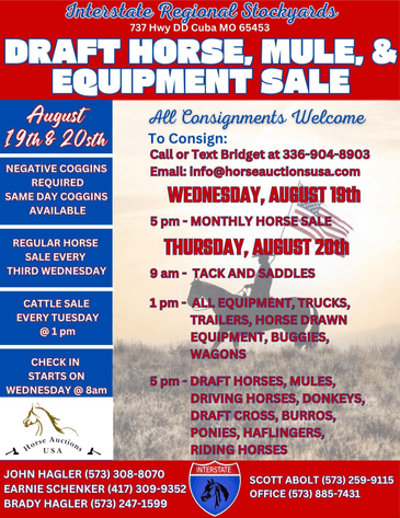Image for Interstate Regional Stockyards TWO DAY AUGUST SPECIAL - DAY 1 - WEDNESDAY AUGUST 19TH