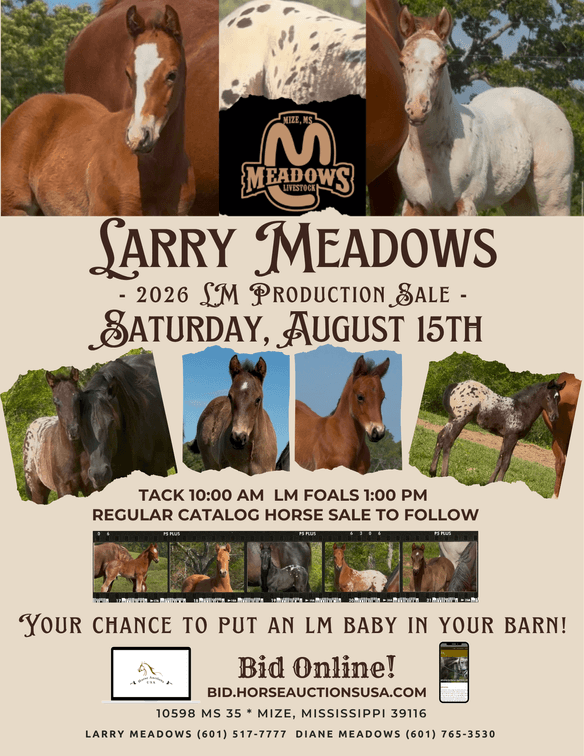 Image for Mize Horse Sale **Annual LM Production Sale - 