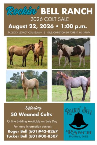 Image for Rockin' Bell Ranch 2026 Colt Sale Forest, MS August 22nd