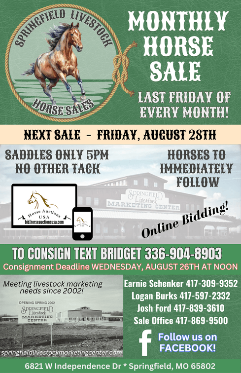 Image for Springfield Livestock Horse Sale FRIDAY AUGUST 28TH - Springfield, MO