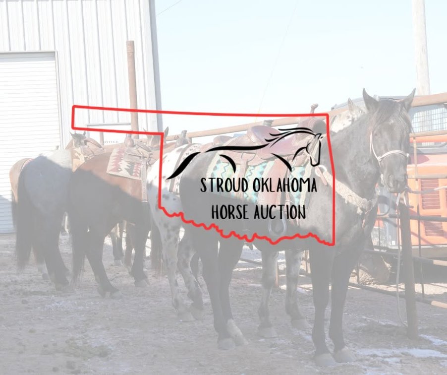 Image for Stroud Oklahoma Horse Auction Summer Special - SATURDAY, AUGUST 29TH - Stroud, Oklahoma
