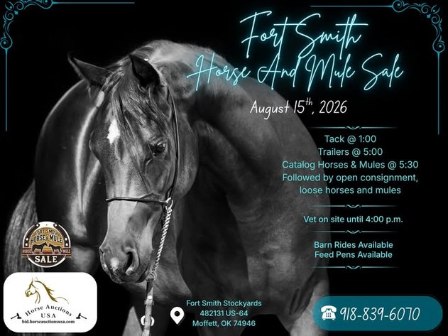 Image for Fort Smith Horse & Mule Sale - SATURDAY, AUGUST 15TH - Moffett, Oklahoma