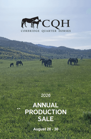 Image for Corbridge Quarter Horses Annual Production Sale - ONLINE ONLY!!!  Runs August 28th through August 30th!