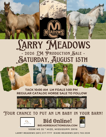 Image for Mize Horse Sale **Annual LM Production Sale - 