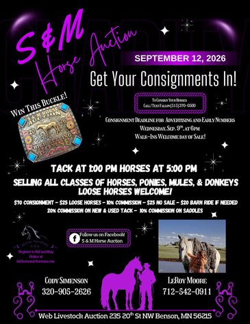 Image for S&M Horse Auction  - SATURDAY, SEPTEMBER 12TH - Benson, Minnesota