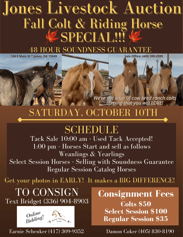 Image for Jones Livestock Auction FALL COLT & SELECT RIDING HORSE SPECIAL!   SATURDAY, OCTOBER 10TH