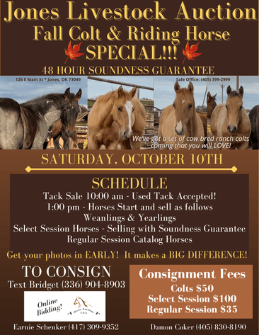 Image for Jones Livestock Auction FALL COLT & SELECT RIDING HORSE SPECIAL!   SATURDAY, OCTOBER 10TH