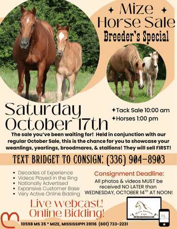 Image for Mize Horse Sale Breeder's SPECIAL - SATURDAY, OCTOBER 17TH - Mize, Mississippi