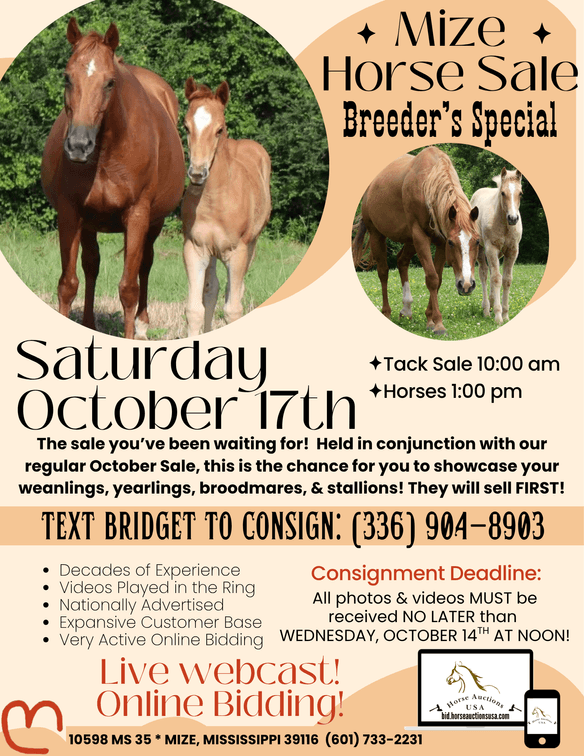 Image for Mize Horse Sale Breeder's SPECIAL - SATURDAY, OCTOBER 17TH - Mize, Mississippi