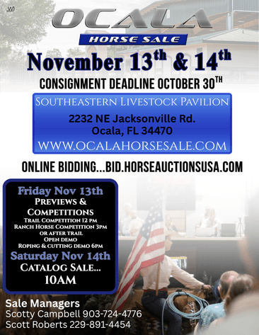 Image for Ocala Horse Sale - Saturday, November 14th - Ocala, Florida