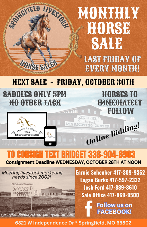 Image for Springfield Livestock Horse Sale FRIDAY OCTOBER 30TH - Springfield, MO
