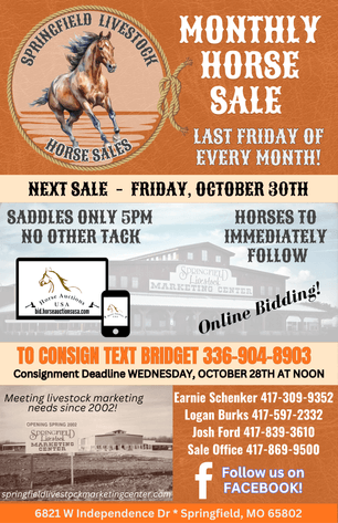 Image for Springfield Livestock Horse Sale FRIDAY OCTOBER 30TH - Springfield, MO