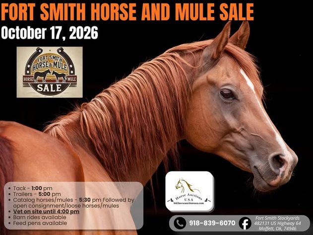 Image for Fort Smith Horse & Mule Sale - SATURDAY, OCTOBER 17TH - Moffett, Oklahoma
