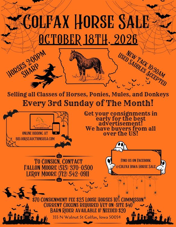 Image for Colfax Horse Sale  - SUNDAY, OCTOBER 18TH - Colfax, Iowa