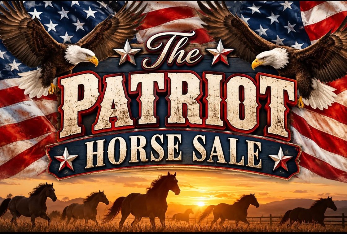 Image for The Patriot Horse Sale Saturday October 24,2026