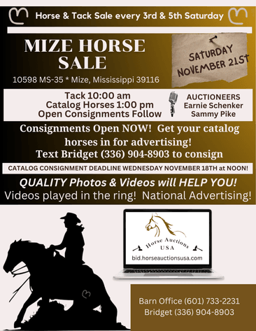 Image for Mize Horse Sale - SATURDAY, NOVEMBER 21ST - Mize, Mississippi