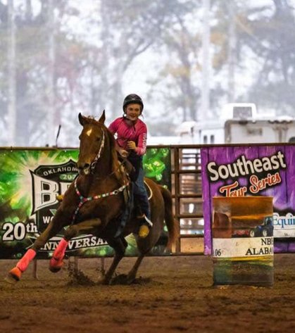 Image for Mize Horse Sale  SATURDAY NOVEMBER 16TH - Mize, Mississippi